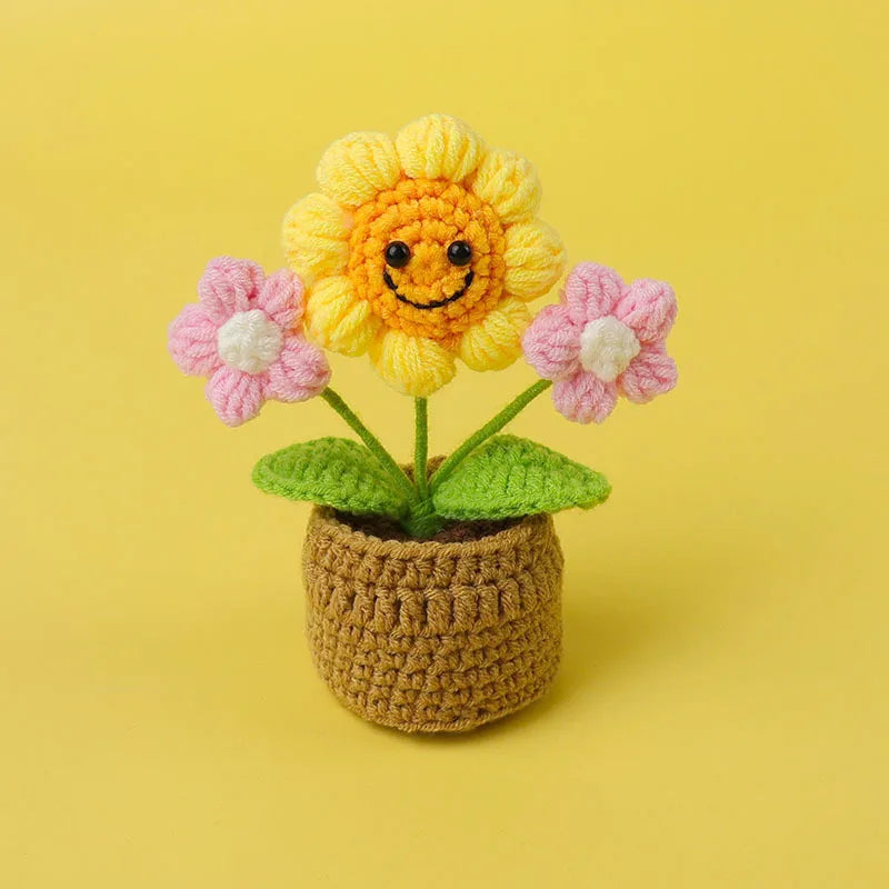 Pot de Fleurs en Crochet