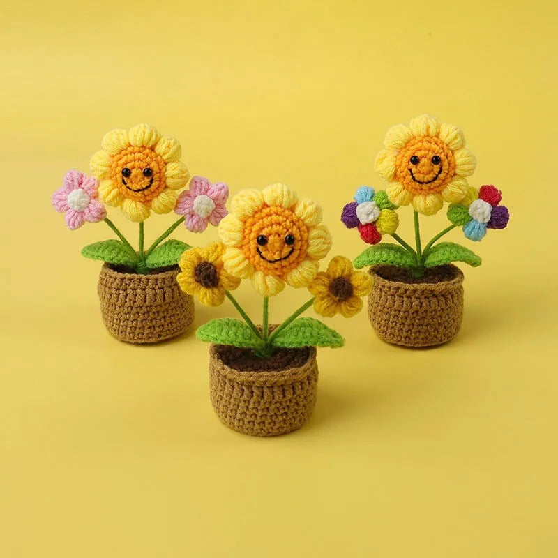 Pot de Fleurs en Crochet