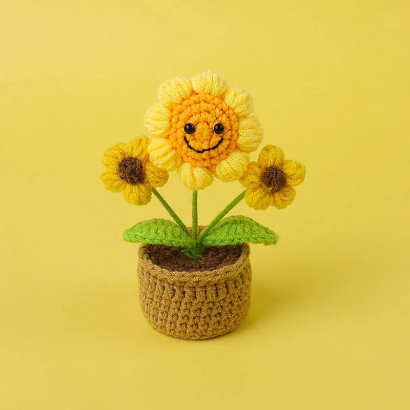 Pot de Fleurs en Crochet