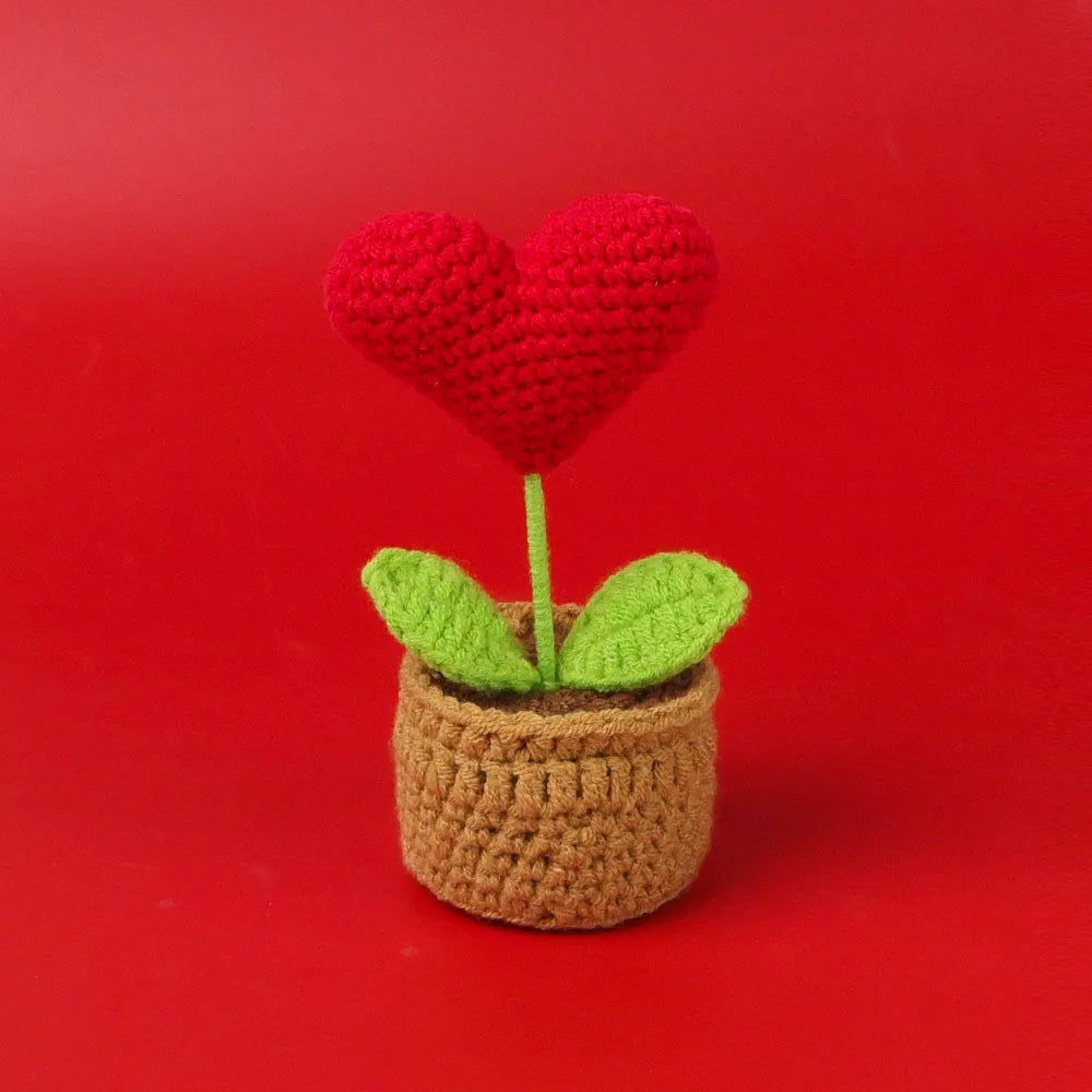 Pot de Cœur en Crochet