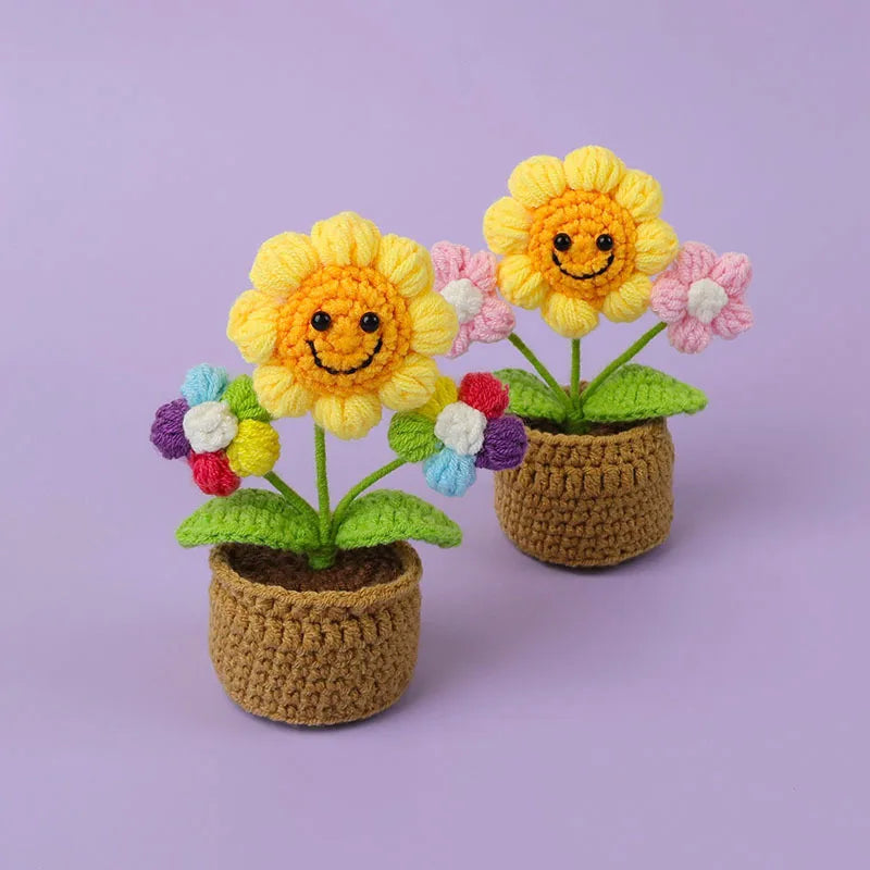 Pot de Fleurs en Crochet